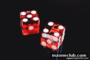 AG真人 mzoneclub